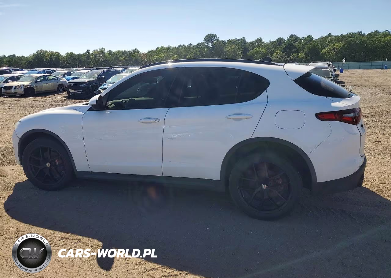 2019 Alfa Romeo Stelvio Ti VIN:ZASPAKBN1K7C30566 - 2