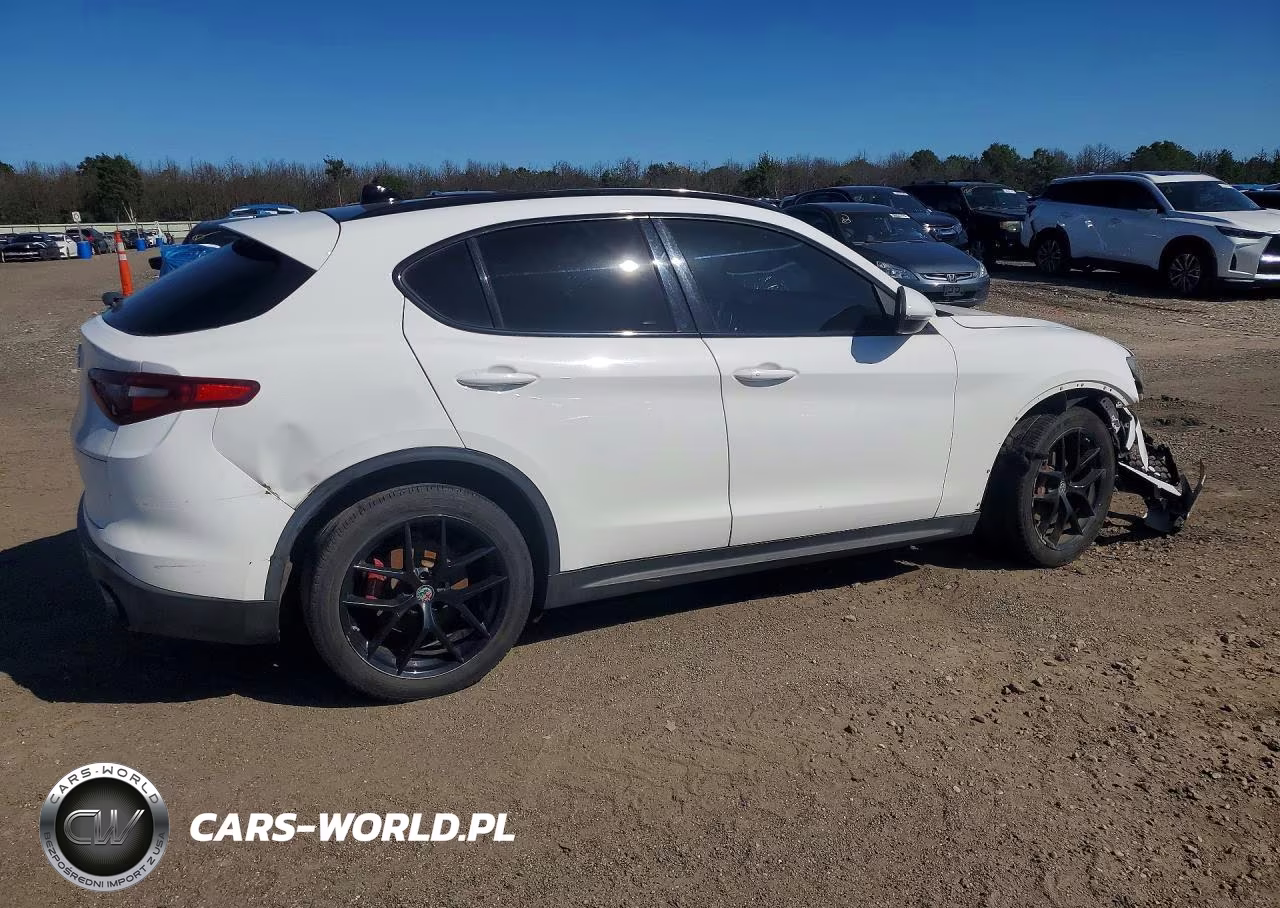 2019 Alfa Romeo Stelvio Ti VIN:ZASPAKBN1K7C30566 - 3