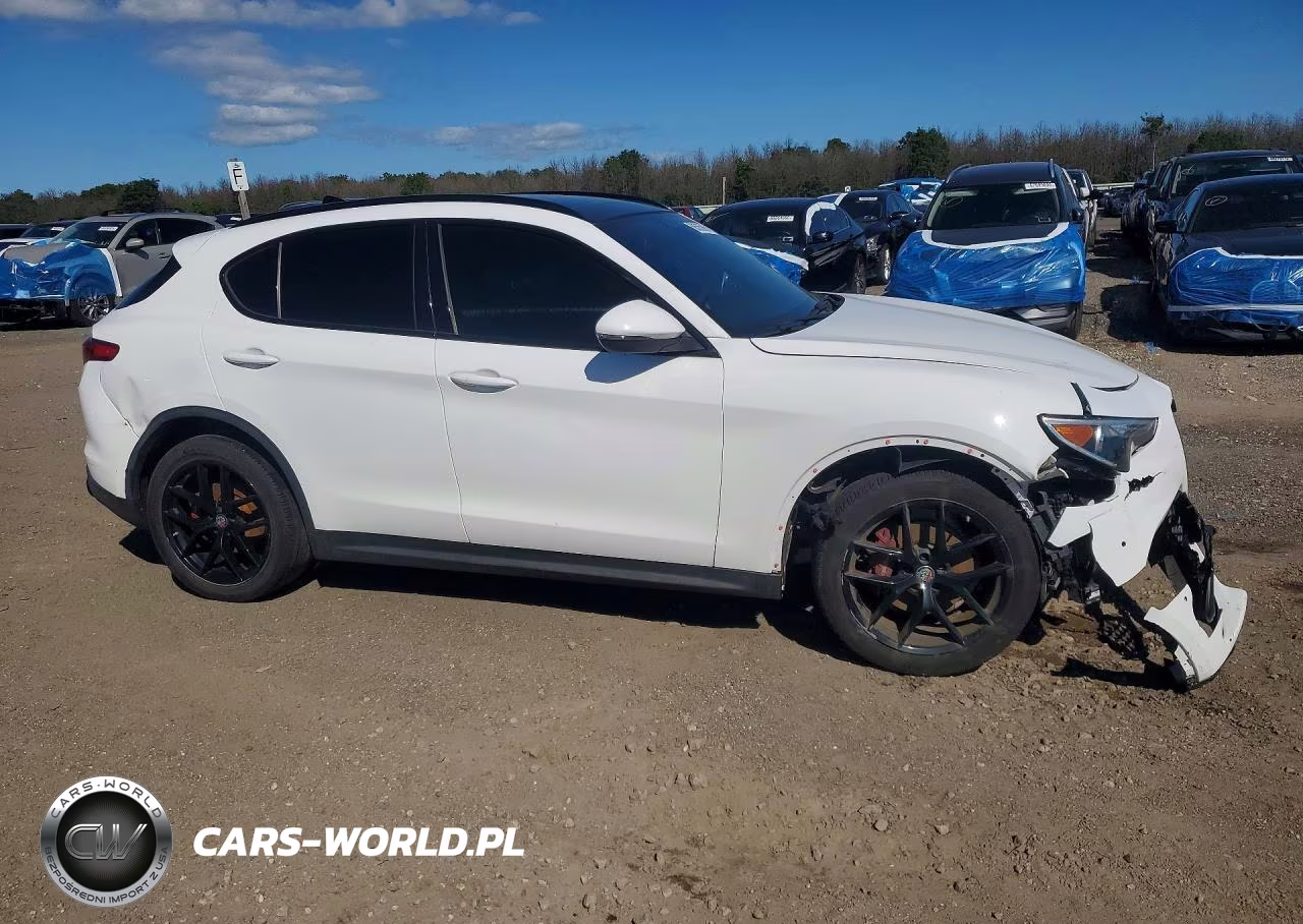 2019 Alfa Romeo Stelvio Ti VIN:ZASPAKBN1K7C30566 - 4