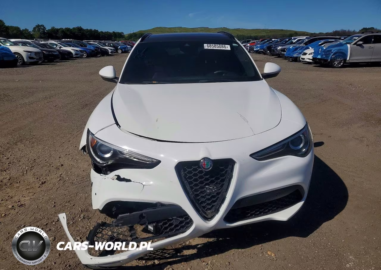 2019 Alfa Romeo Stelvio Ti VIN:ZASPAKBN1K7C30566 - 5