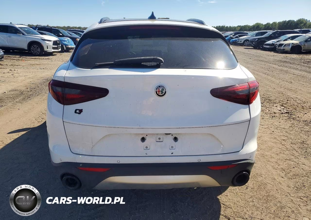 2019 Alfa Romeo Stelvio Ti VIN:ZASPAKBN1K7C30566 - 6