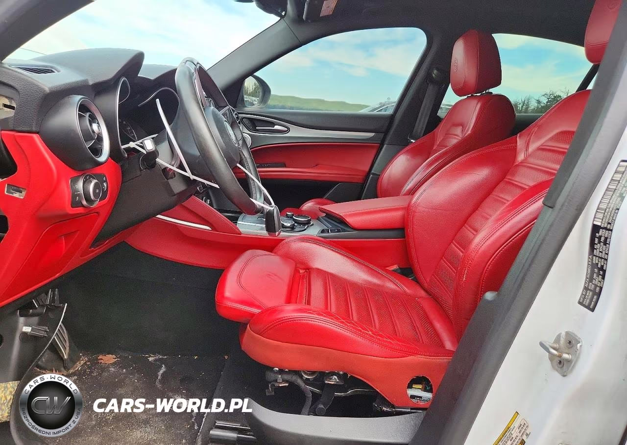 2019 Alfa Romeo Stelvio Ti VIN:ZASPAKBN1K7C30566 - 7