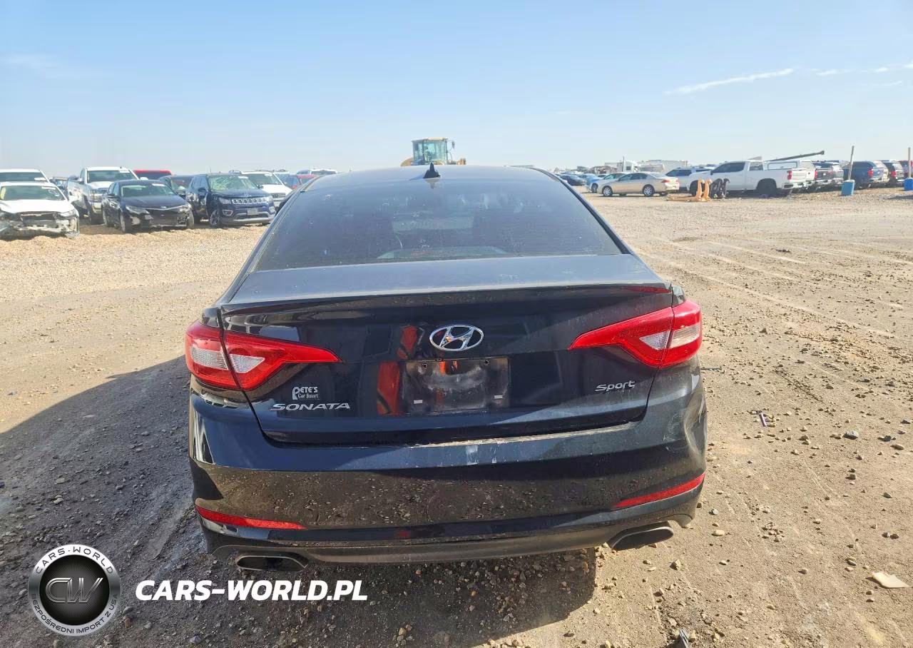 2016 Hyundai Sonata Sport VIN:5NPE34AF2GH431170 - 6