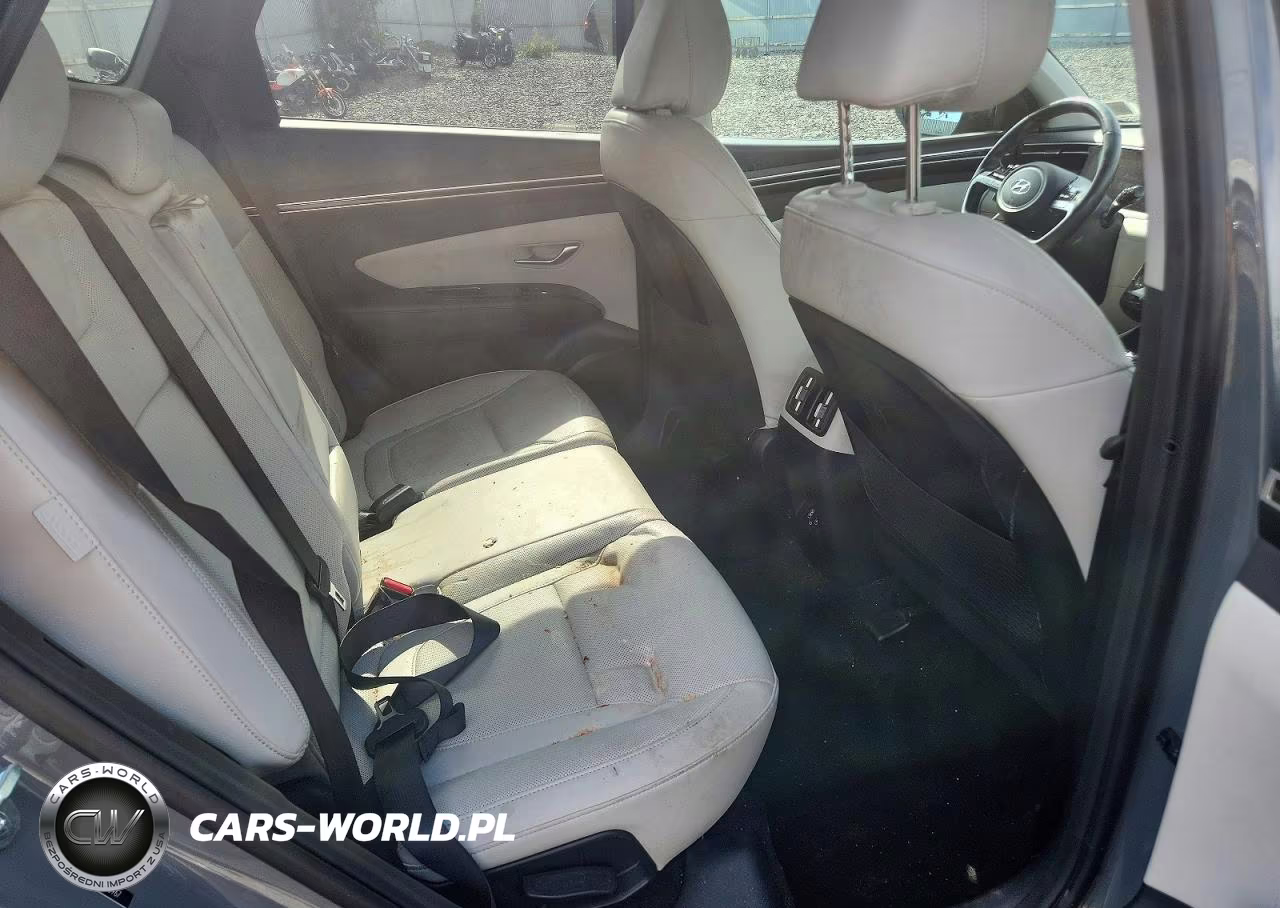 2024 Hyundai Tucson Limited VIN:5NMJECDE6RH405967 - 11