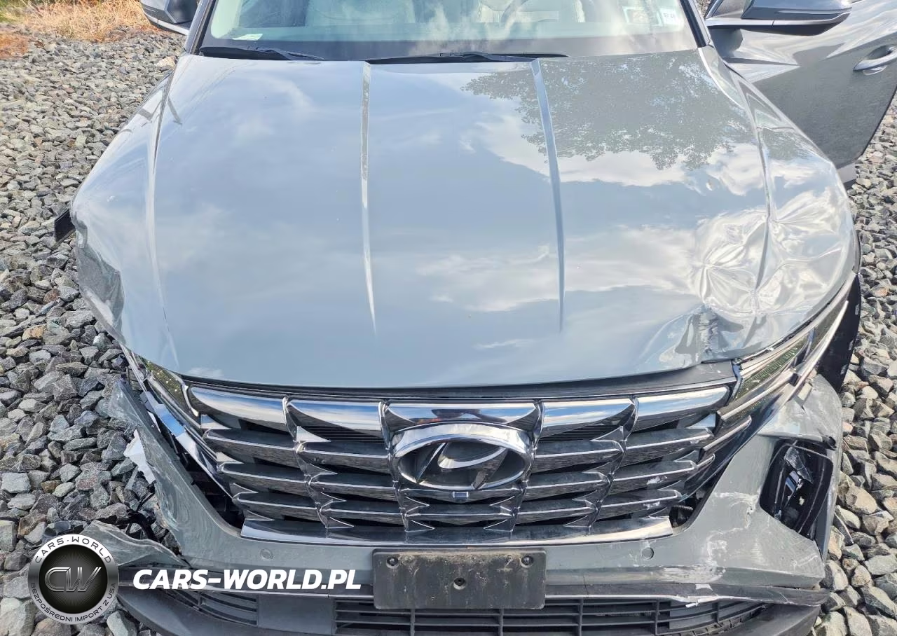 2024 Hyundai Tucson Limited VIN:5NMJECDE6RH405967 - 12