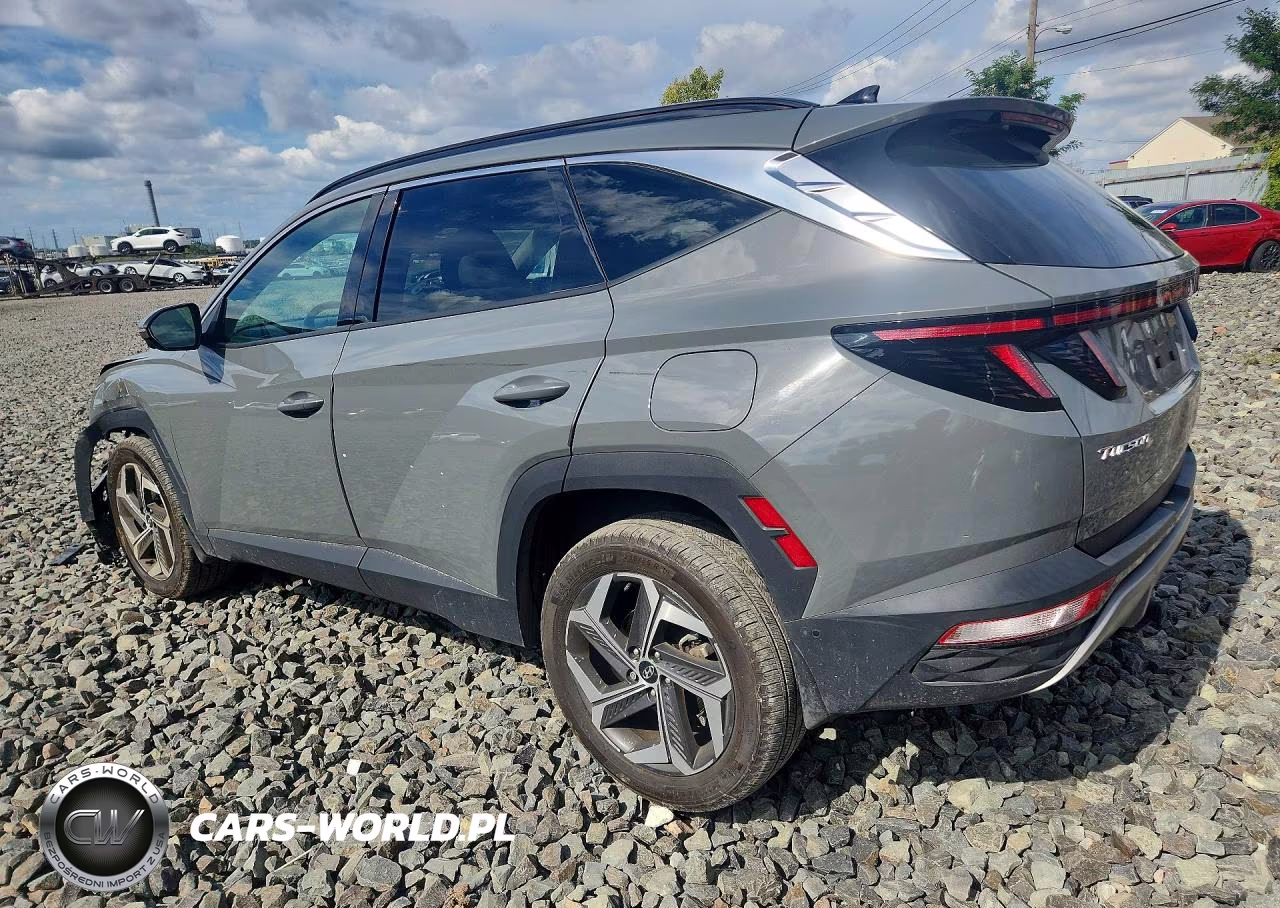 2024 Hyundai Tucson Limited VIN:5NMJECDE6RH405967 - 2