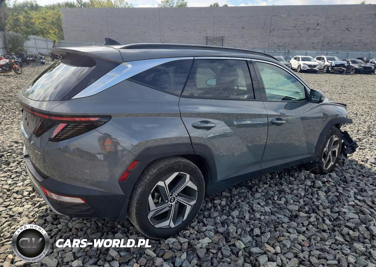 2024 Hyundai Tucson Limited VIN:5NMJECDE6RH405967 - 3