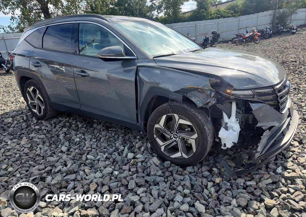 2024 Hyundai Tucson Limited VIN:5NMJECDE6RH405967 - 4
