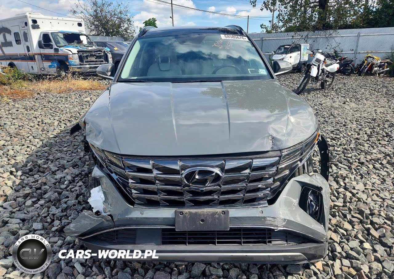 2024 Hyundai Tucson Limited VIN:5NMJECDE6RH405967 - 5