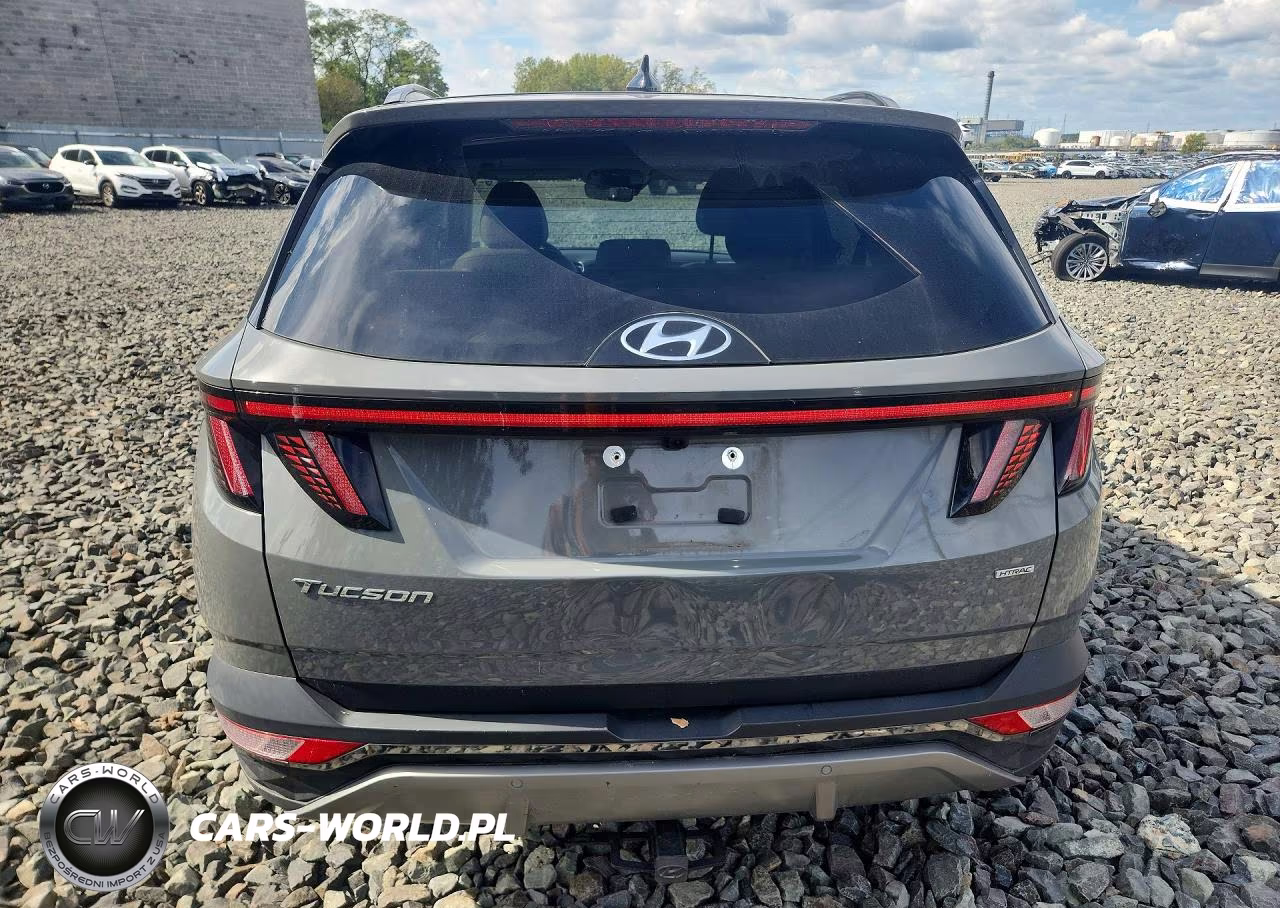 2024 Hyundai Tucson Limited VIN:5NMJECDE6RH405967 - 6