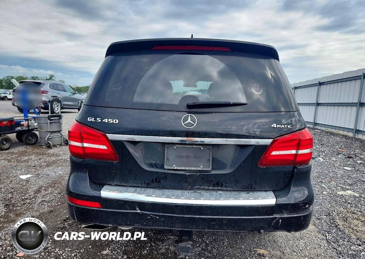 2019 Mercedes-Benz Gls 450 4Matic VIN:4JGDF6EE3KB229704 - 6