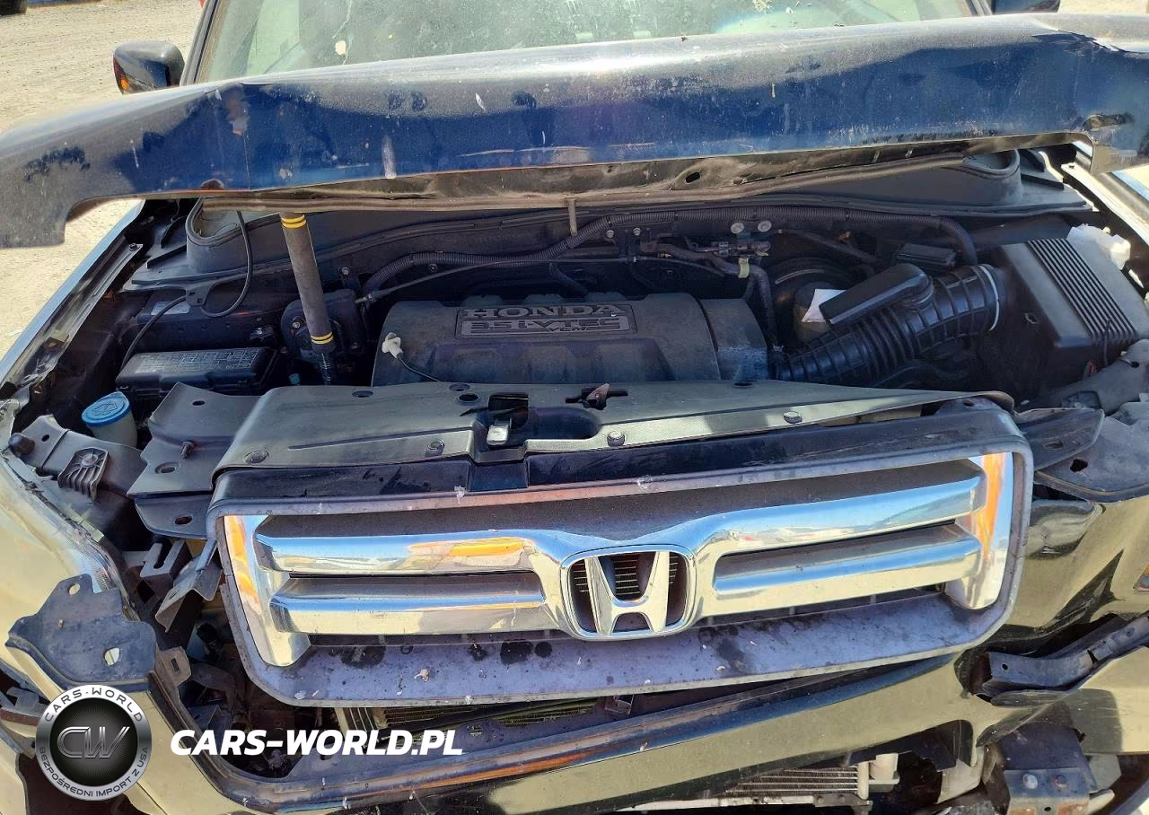 2008 Honda Pilot Se VIN:5FNYF28398B019607 - 12
