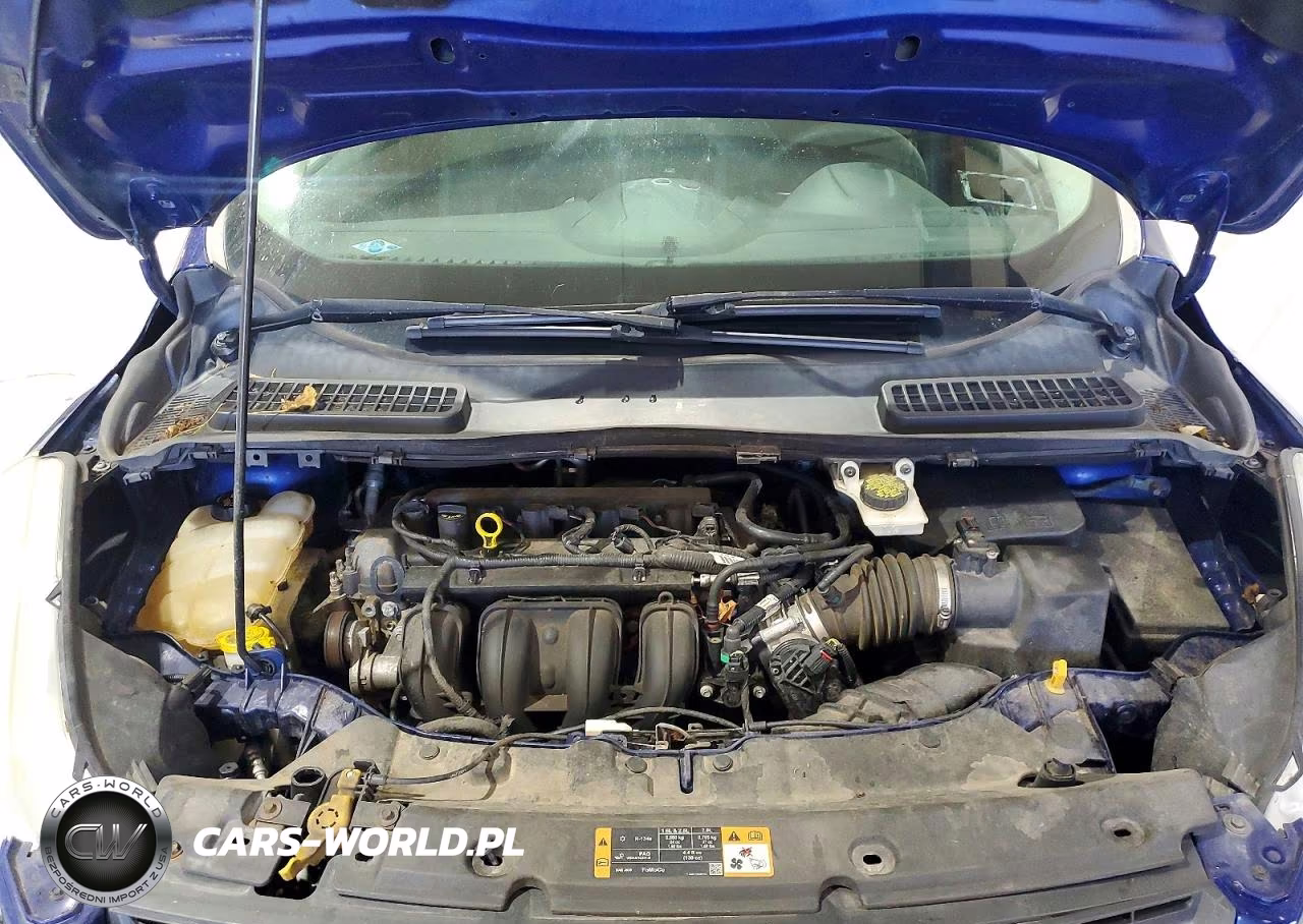 2016 Ford Escape S VIN:1FMCU0F7XGUA48481 - 12