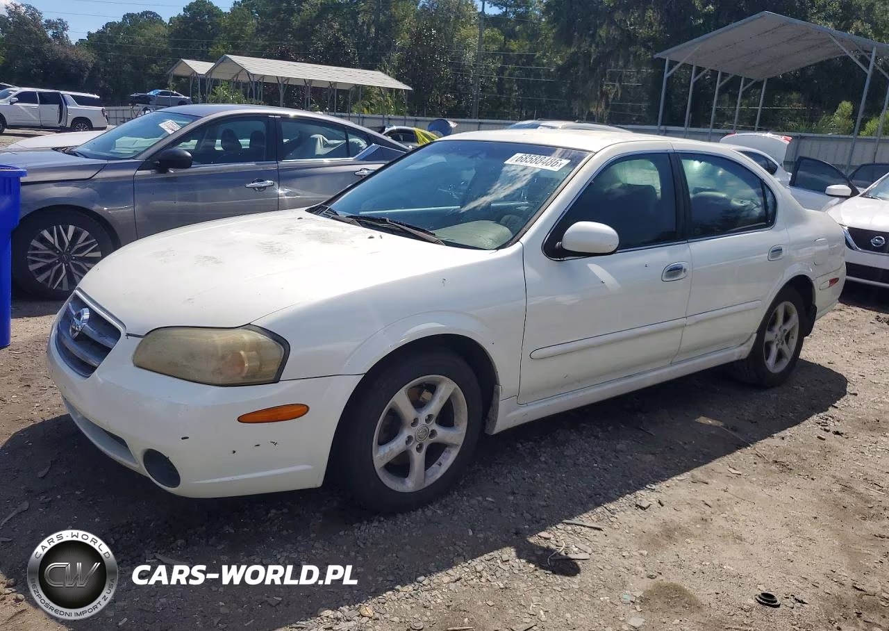 2002 Nissan Maxima Gxe VIN:JN1DA31D42T412346 - 1