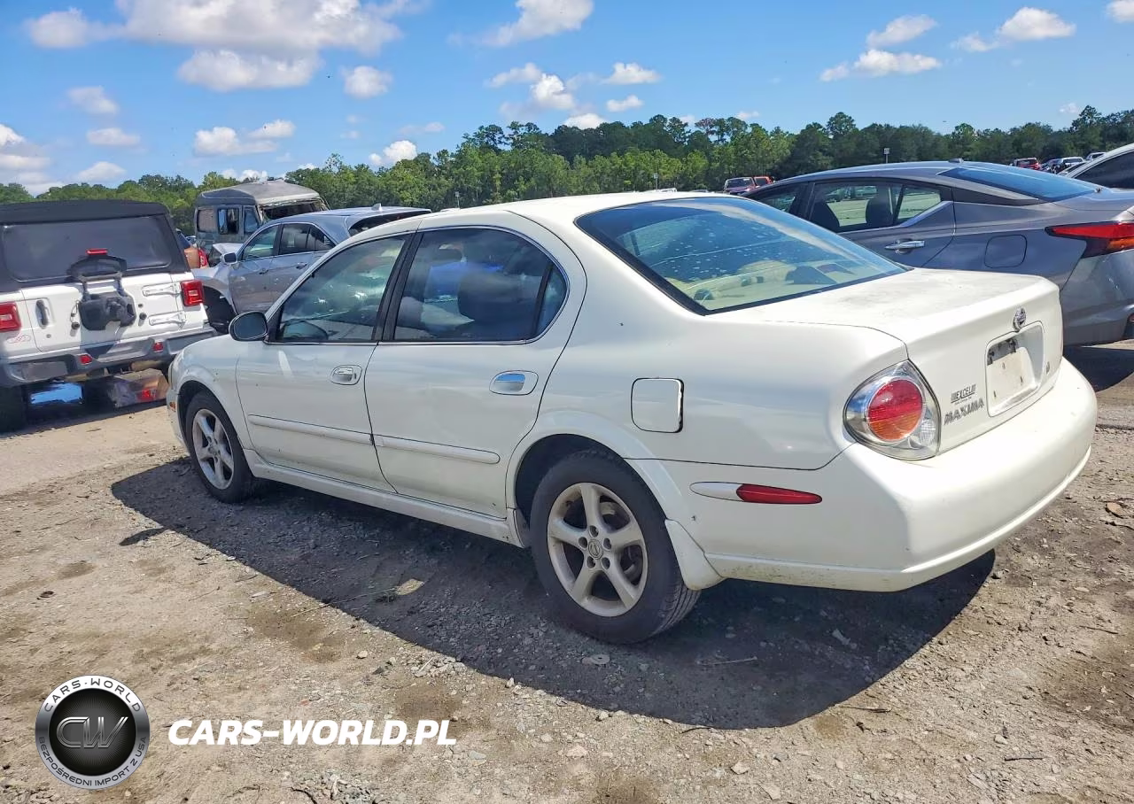 2002 Nissan Maxima Gxe VIN:JN1DA31D42T412346 - 2