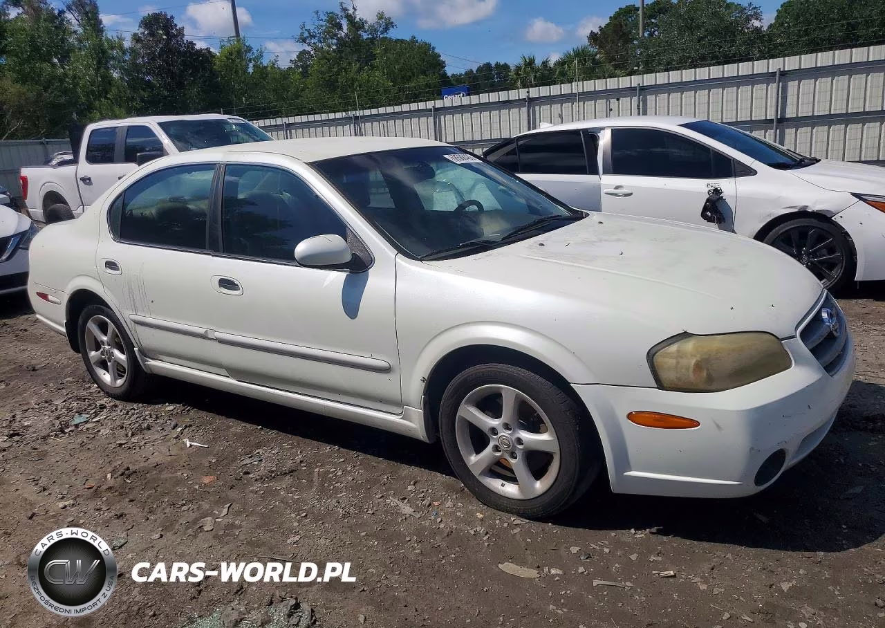2002 Nissan Maxima Gxe VIN:JN1DA31D42T412346 - 4