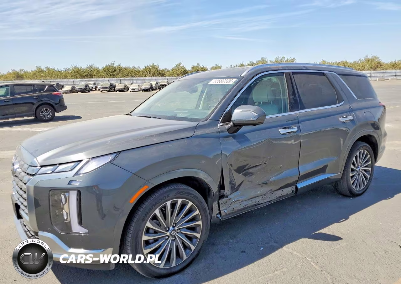 2025 Hyundai Palisade Calligraphy VIN:KM8R74GE5SU855814 - 1