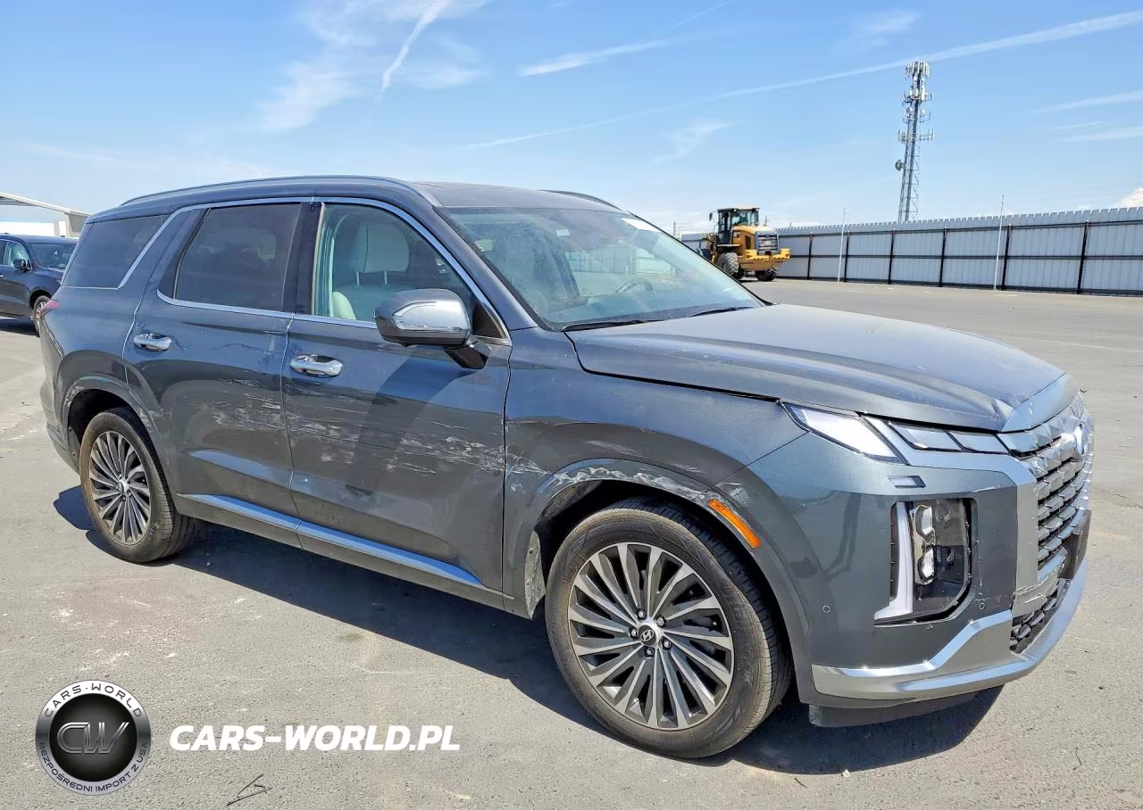 2025 Hyundai Palisade Calligraphy VIN:KM8R74GE5SU855814 - 4