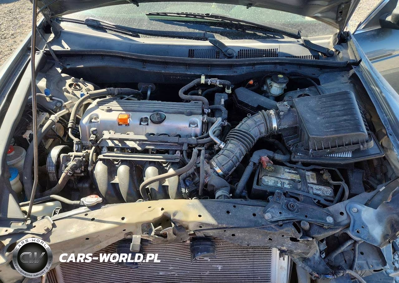 2010 Honda Accord Lx VIN:1HGCP2F34AA021999 - 11