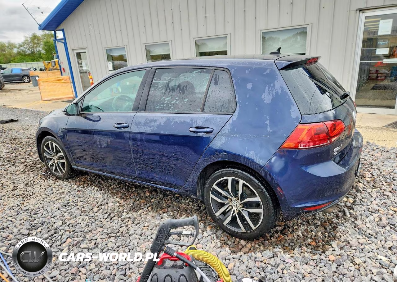2017 Volkswagen Golf S VIN:3VW217AU3HM016179 - 2