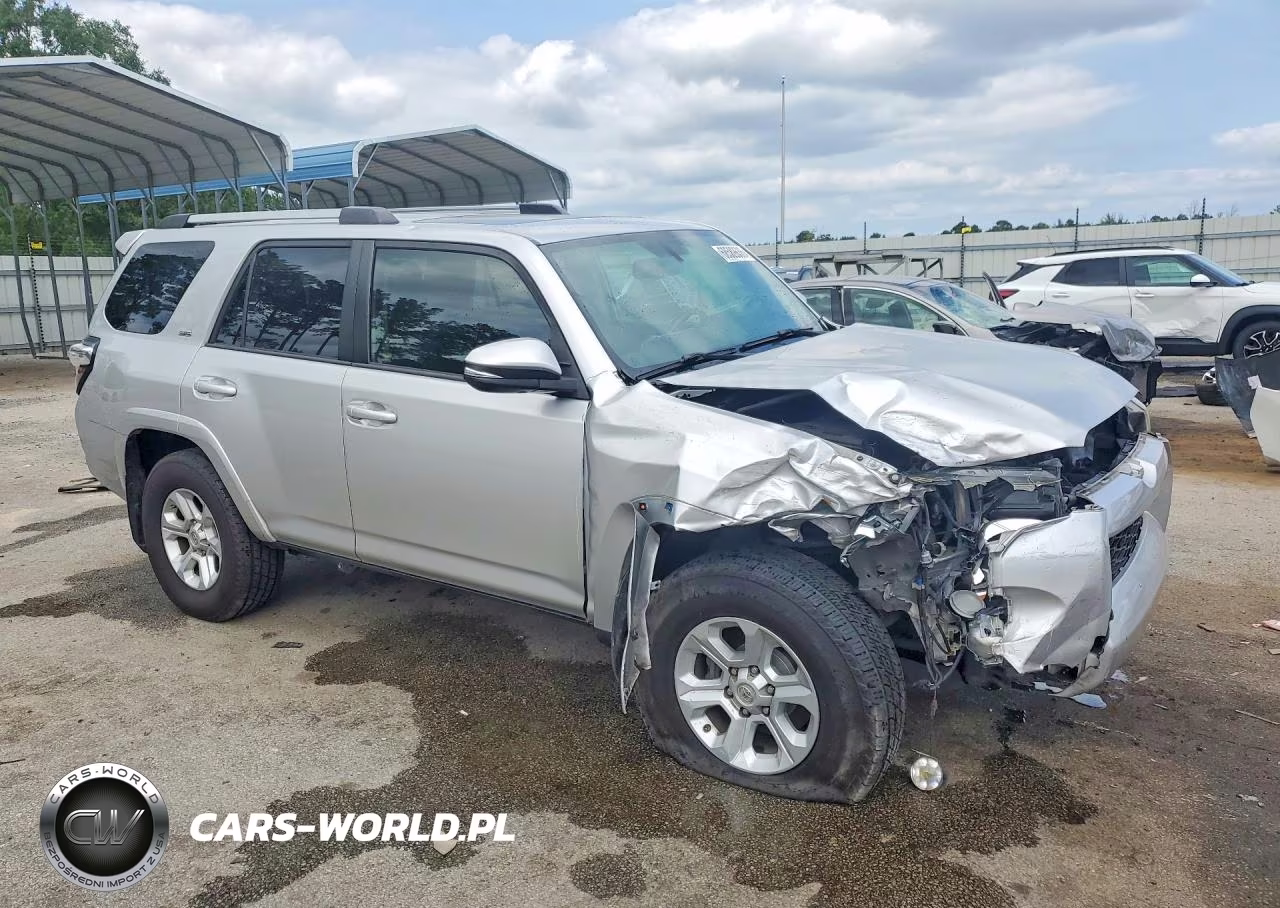 2019 Toyota 4Runner Sr5 Premium VIN:JTEZU5JR4K5205831 - 4