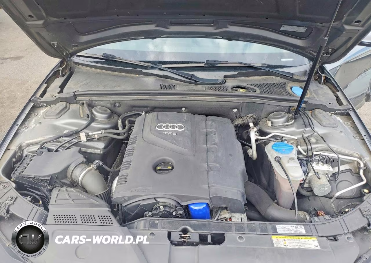 2014 Audi A4 Premium VIN:WAUBFAFL3EN039283 - 11