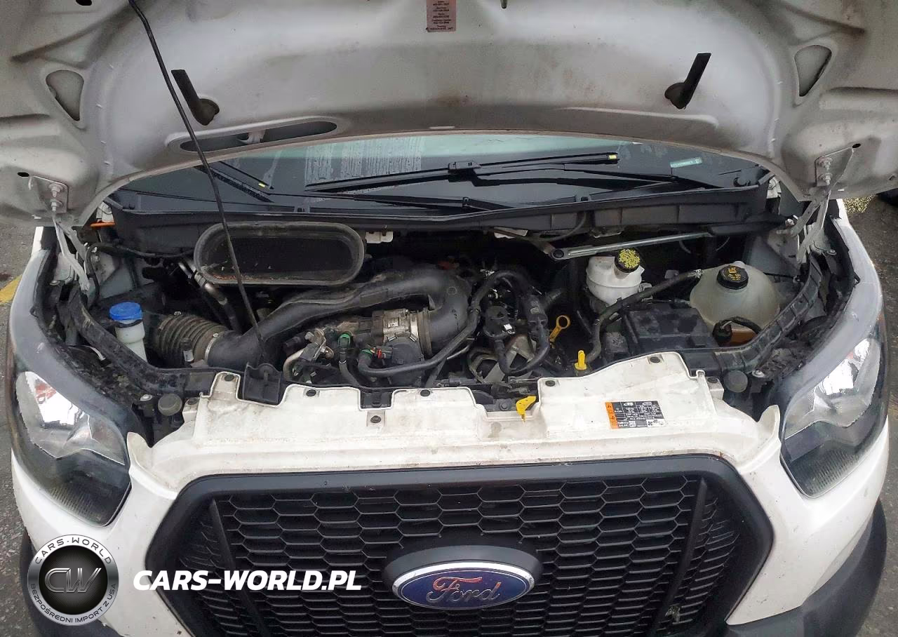 2021 Ford Transit T-150 Delivery Van VIN:1FTYE1Y87MKB00272 - 12