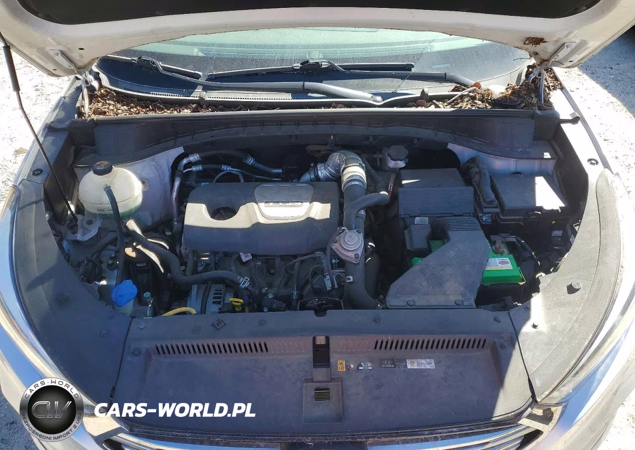 2017 Hyundai Tucson Limited VIN:KM8J33A28HU460679 - 12
