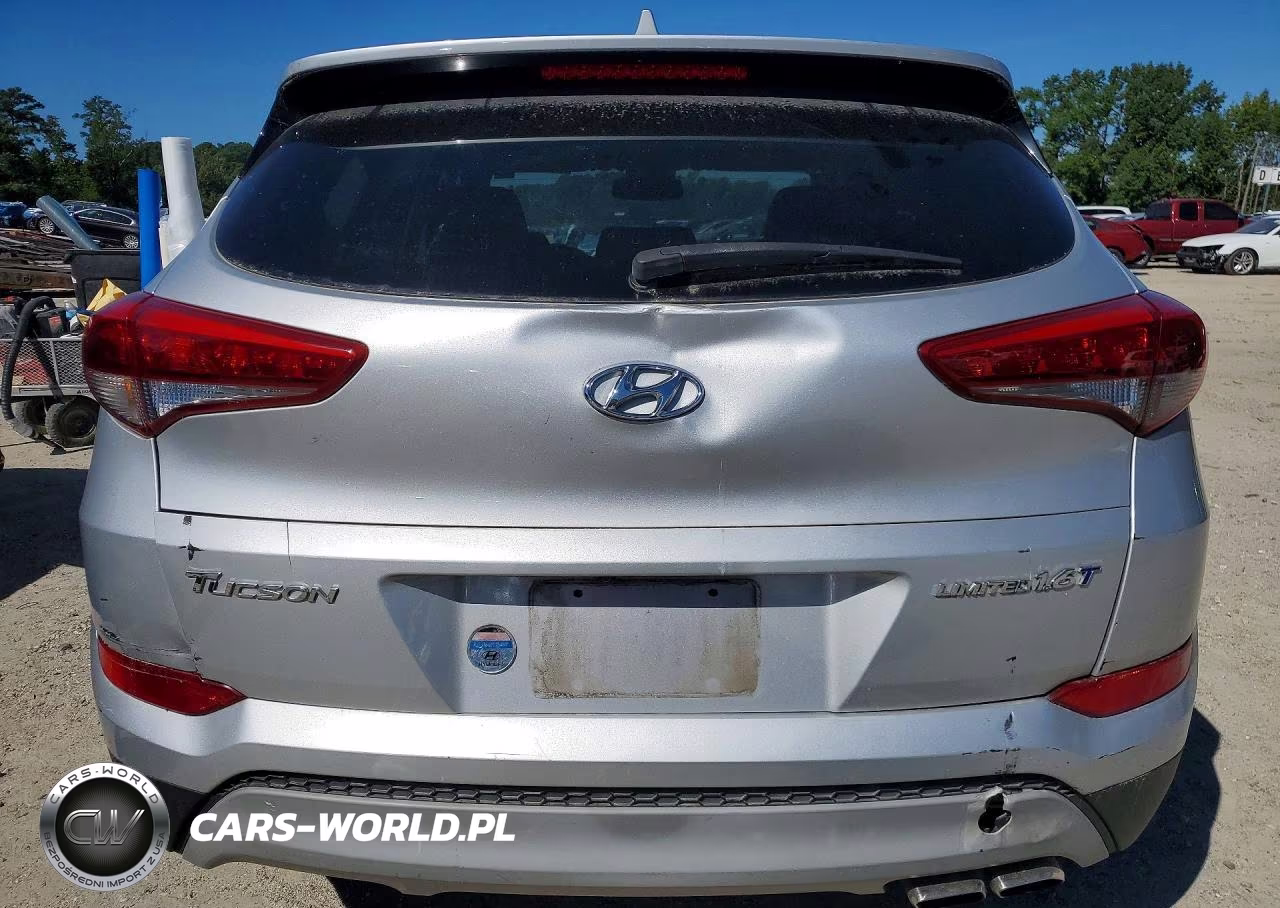 2017 Hyundai Tucson Limited VIN:KM8J33A28HU460679 - 6