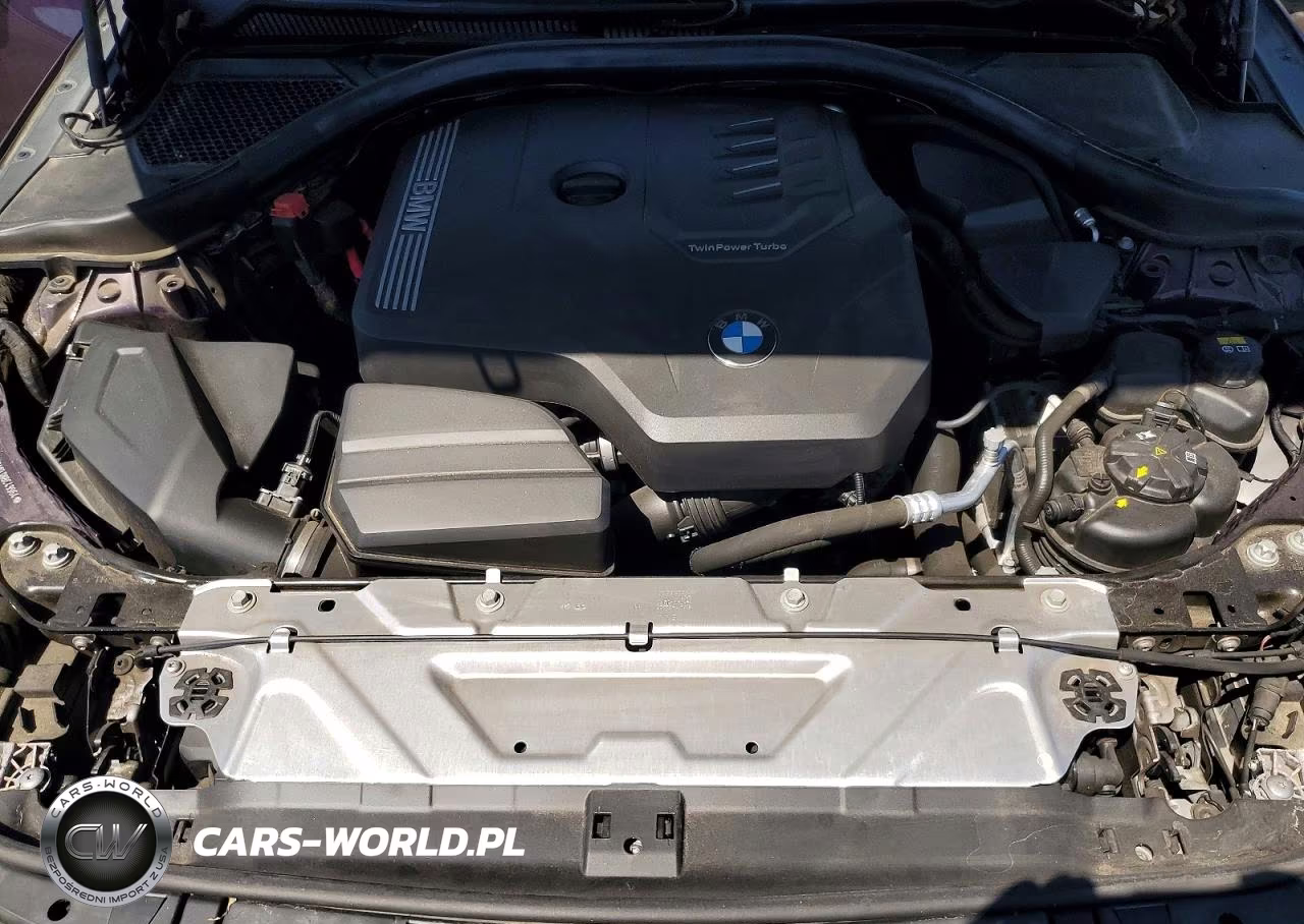 2022 BMW 230I VIN:3MW23CM03N8C49964 - 11