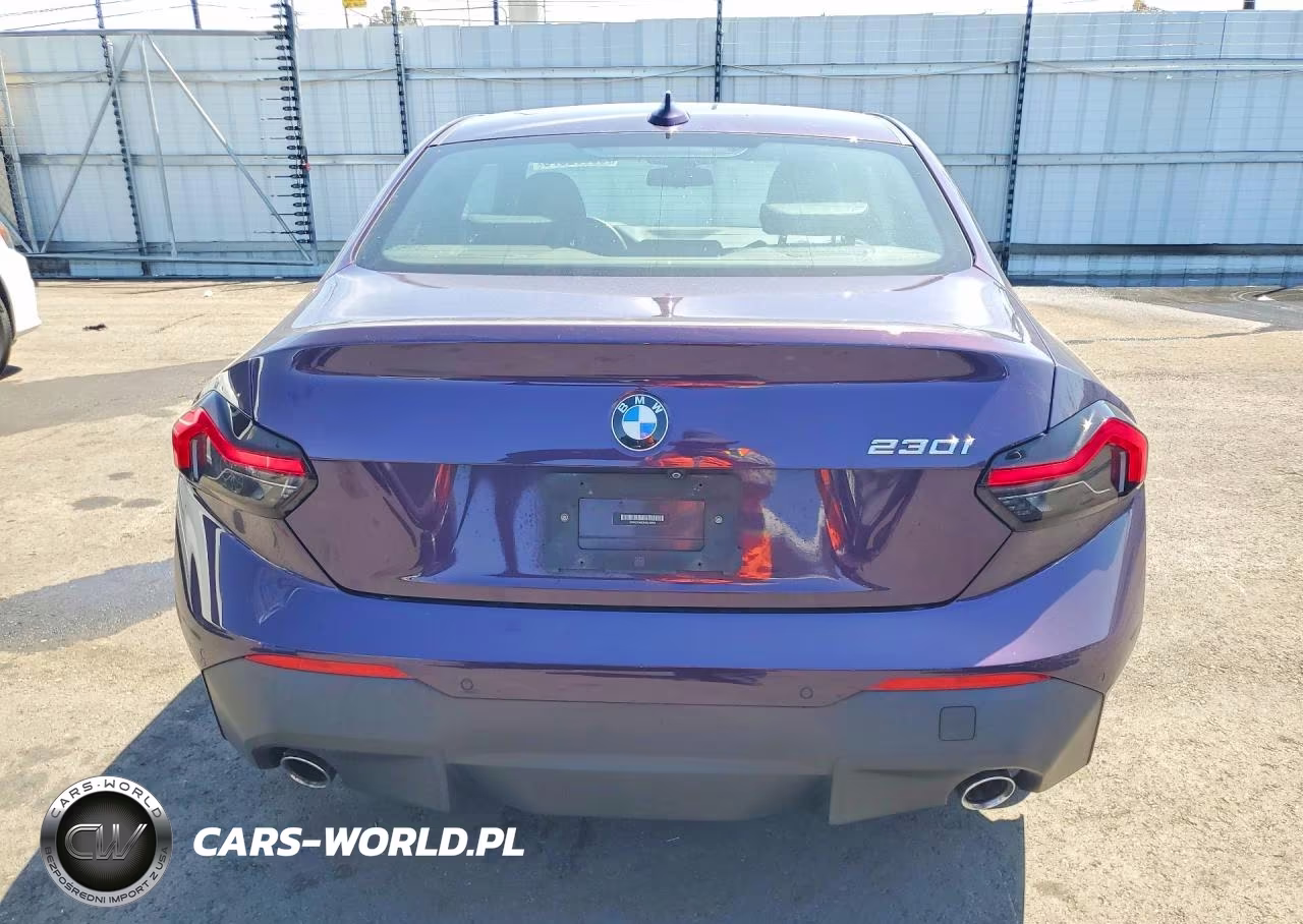 2022 BMW 230I VIN:3MW23CM03N8C49964 - 6
