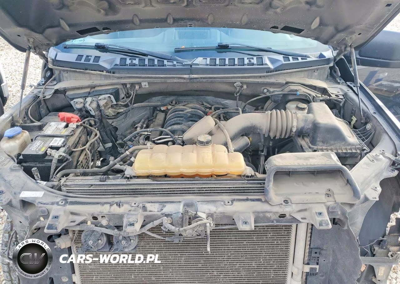 2020 Ford F150 Supercrew VIN:1FTEW1E50LKE60010 - 11