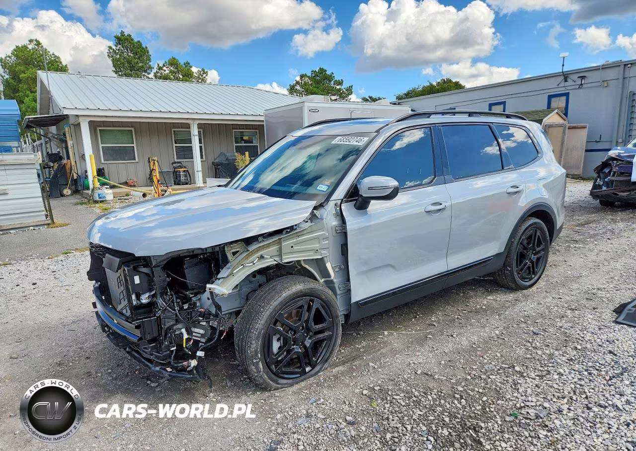 2025 Kia Telluride Ex X-Line VIN:5XYP3DGC1SG695079 - 1