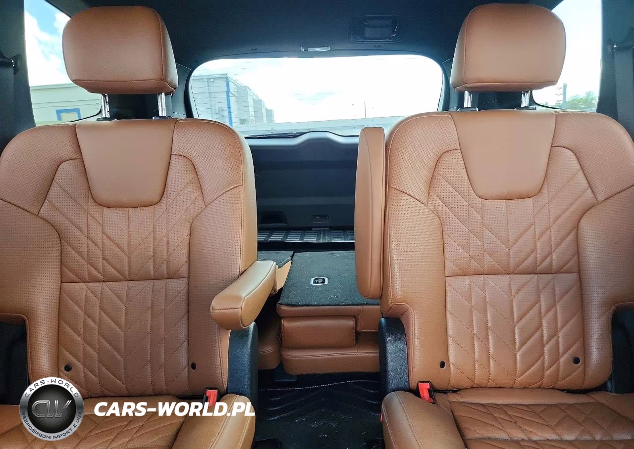 2025 Kia Telluride Ex X-Line VIN:5XYP3DGC1SG695079 - 10