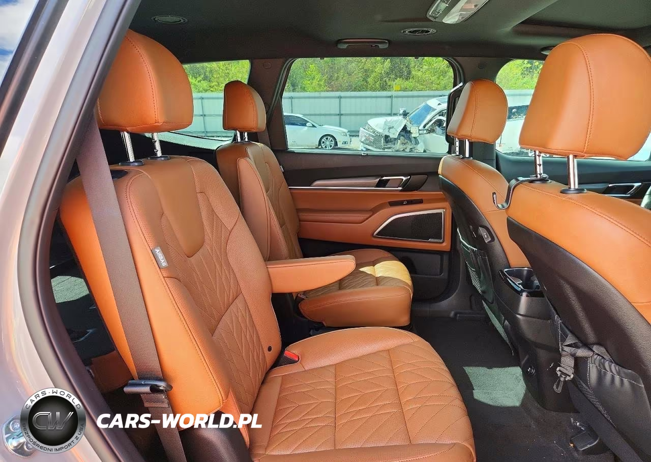 2025 Kia Telluride Ex X-Line VIN:5XYP3DGC1SG695079 - 11