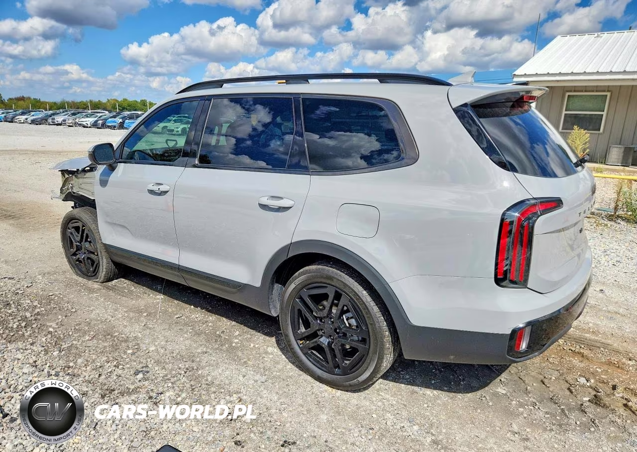 2025 Kia Telluride Ex X-Line VIN:5XYP3DGC1SG695079 - 2