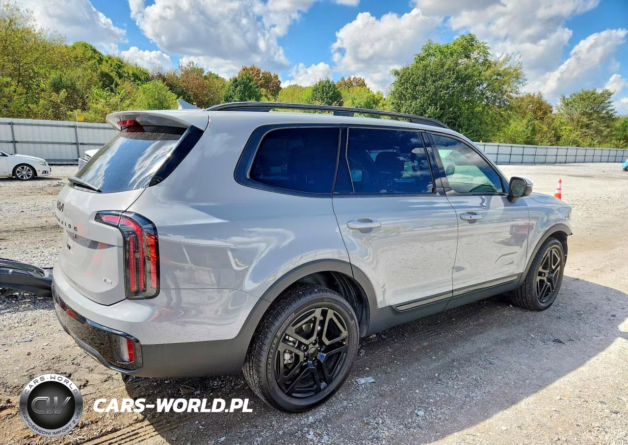 2025 Kia Telluride Ex X-Line VIN:5XYP3DGC1SG695079 - 3