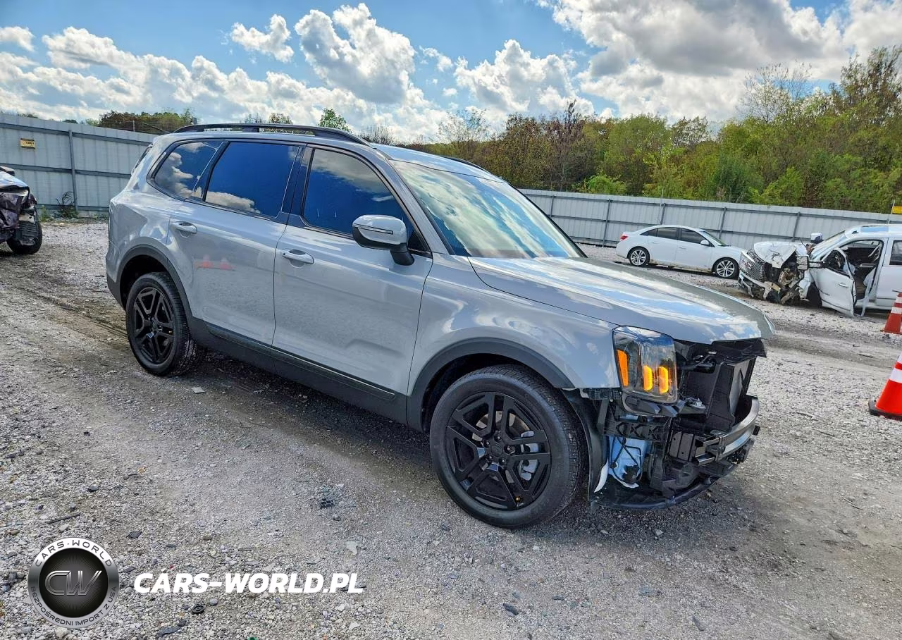 2025 Kia Telluride Ex X-Line VIN:5XYP3DGC1SG695079 - 4