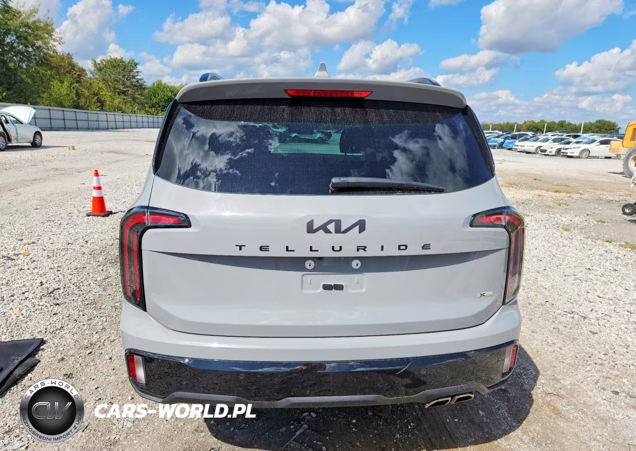 2025 Kia Telluride Ex X-Line VIN:5XYP3DGC1SG695079 - 6