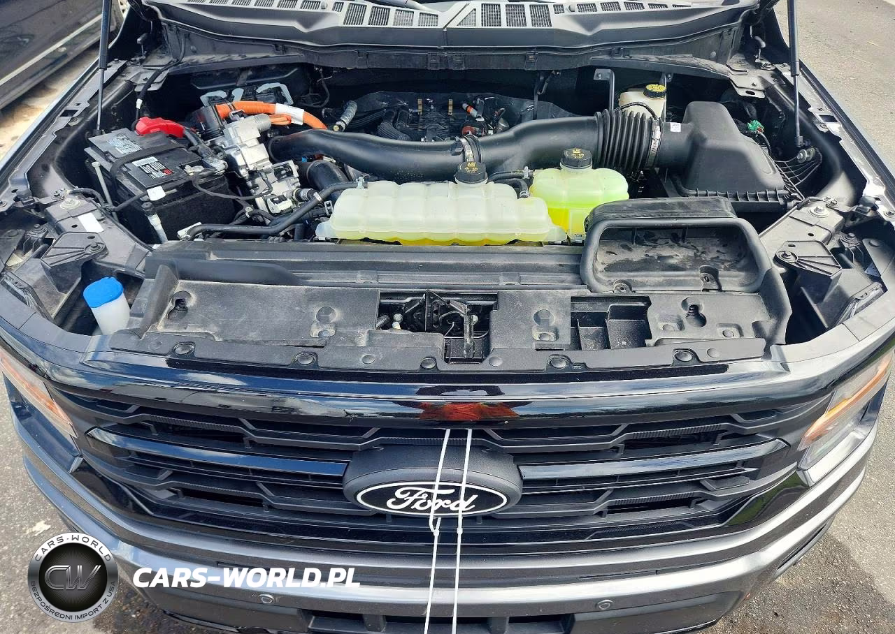 2024 Ford F150 Xlt VIN:1FTFW3LD5RFB97363 - 11