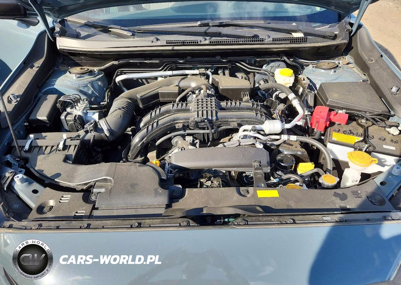 2025 Subaru Crosstrek VIN:JF2GUABC9SH257017 - 11