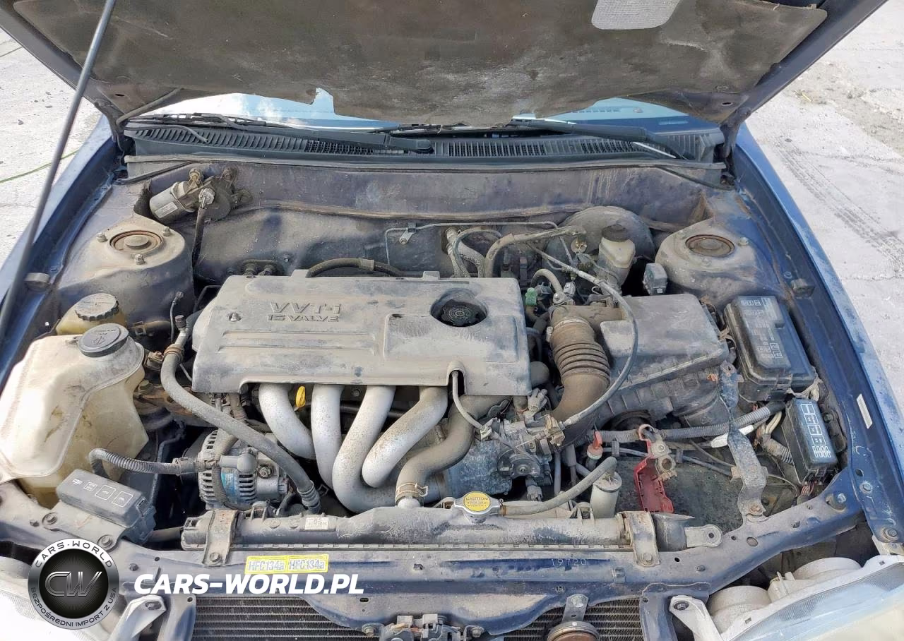 2001 Toyota Corolla Ce VIN:1NXBR12E01Z506561 - 11