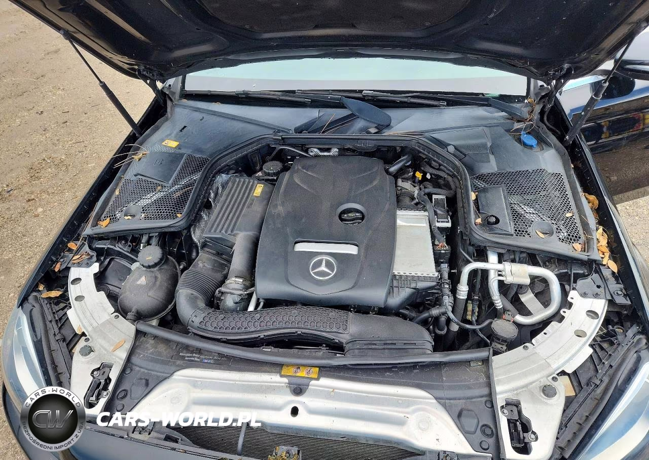 2016 Mercedes-Benz C 300 VIN:55SWF4JB3GU122314 - 11