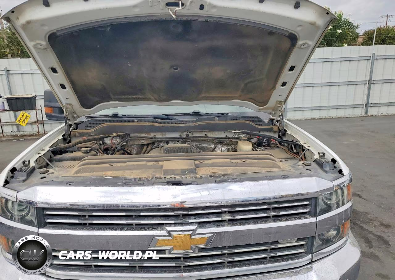 2017 Chevrolet Silverado K2500 Heavy Duty VIN:1GB0KUEGXHZ287432 - 12