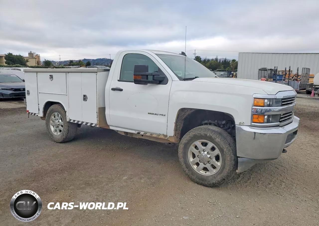 2017 Chevrolet Silverado K2500 Heavy Duty VIN:1GB0KUEGXHZ287432 - 4