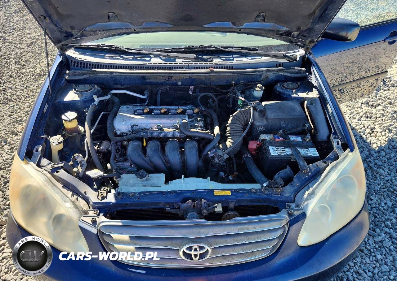 2003 Toyota Corolla Ce VIN:JTDBR32E832016416 - 11