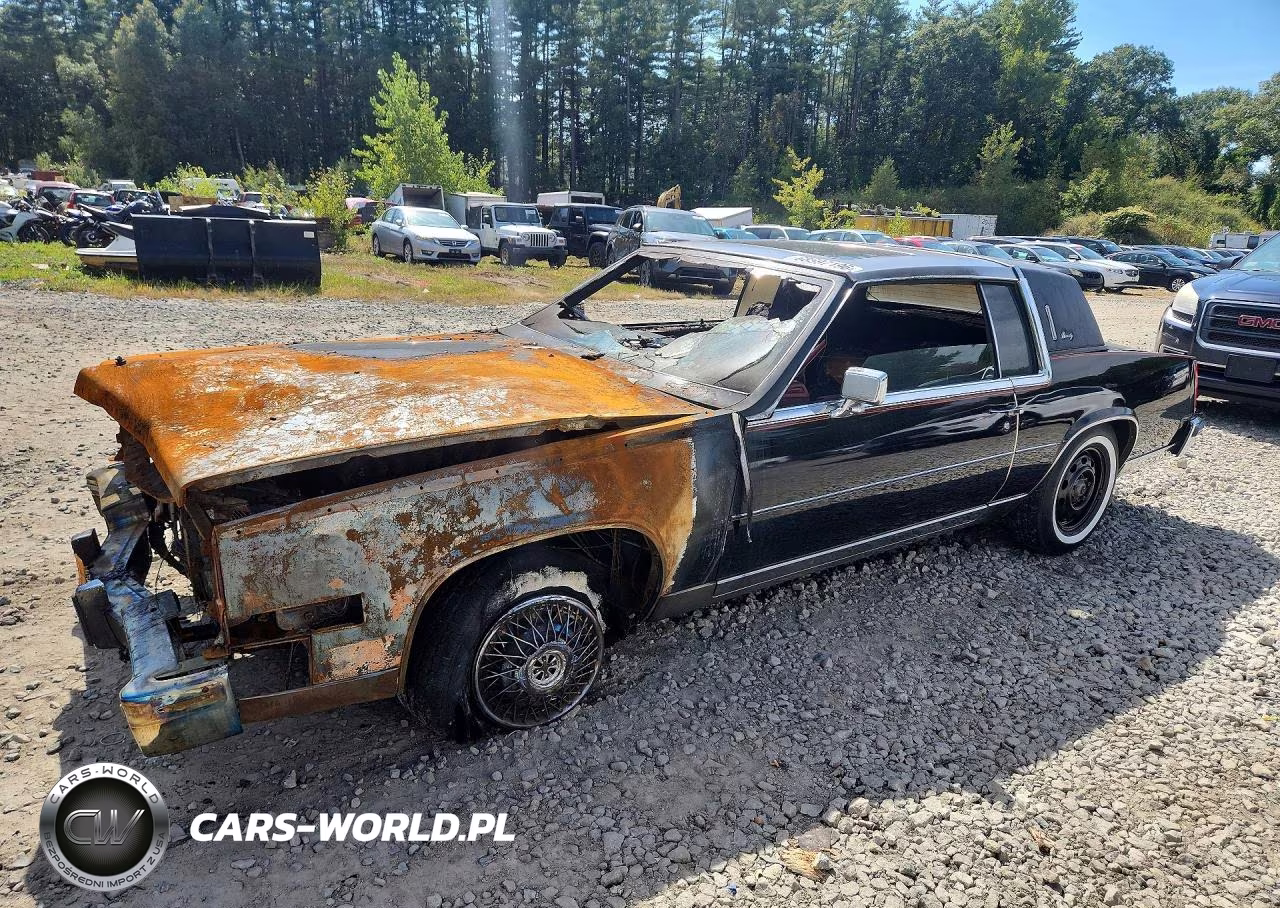 1981 Cadillac Eldorado VIN:1G6AL5797BE618437 - 1