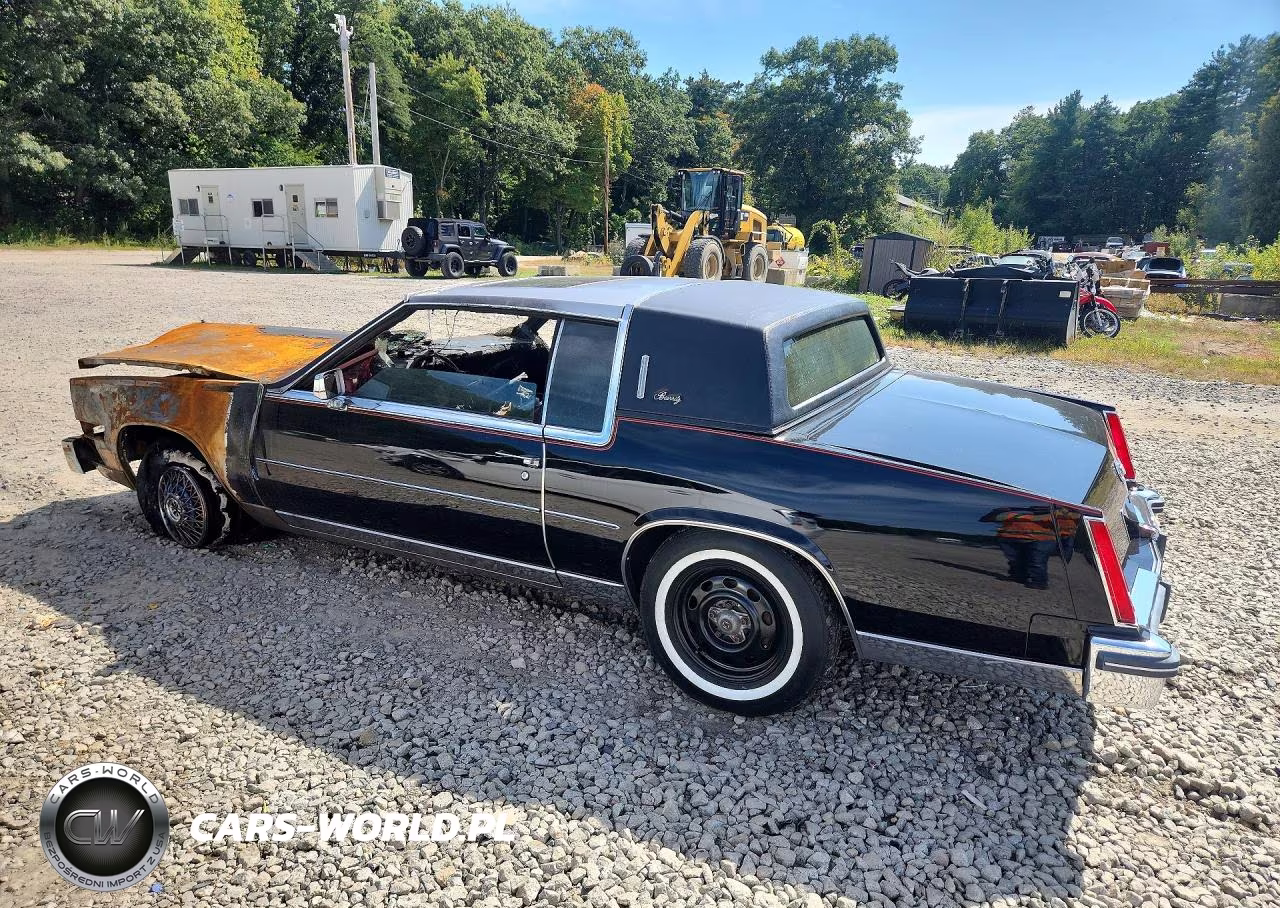 1981 Cadillac Eldorado VIN:1G6AL5797BE618437 - 2