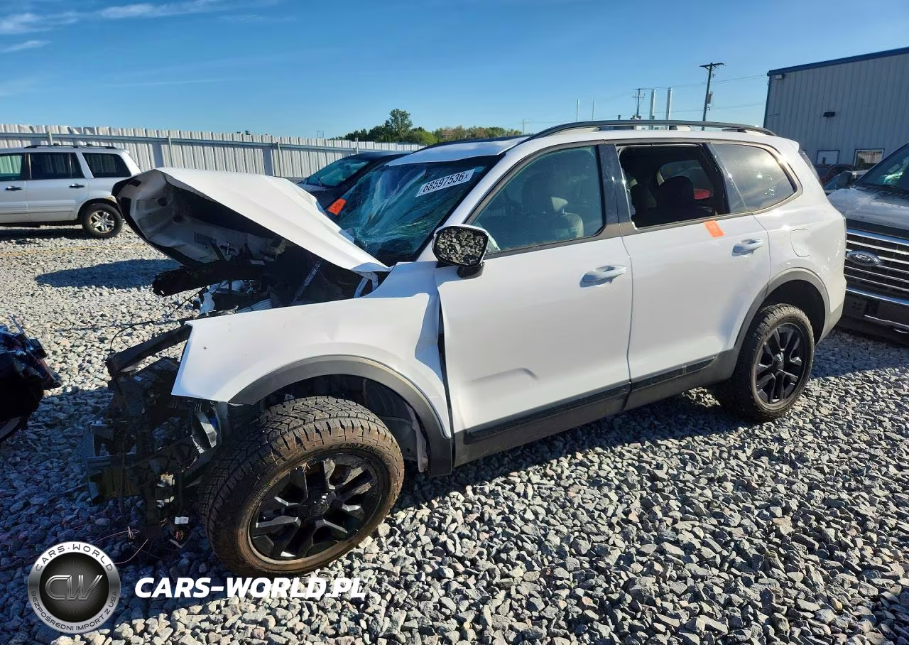 2025 Kia Telluride Sx-Prestige X-Pro VIN:5XYP5DGC7SG653445 - 1