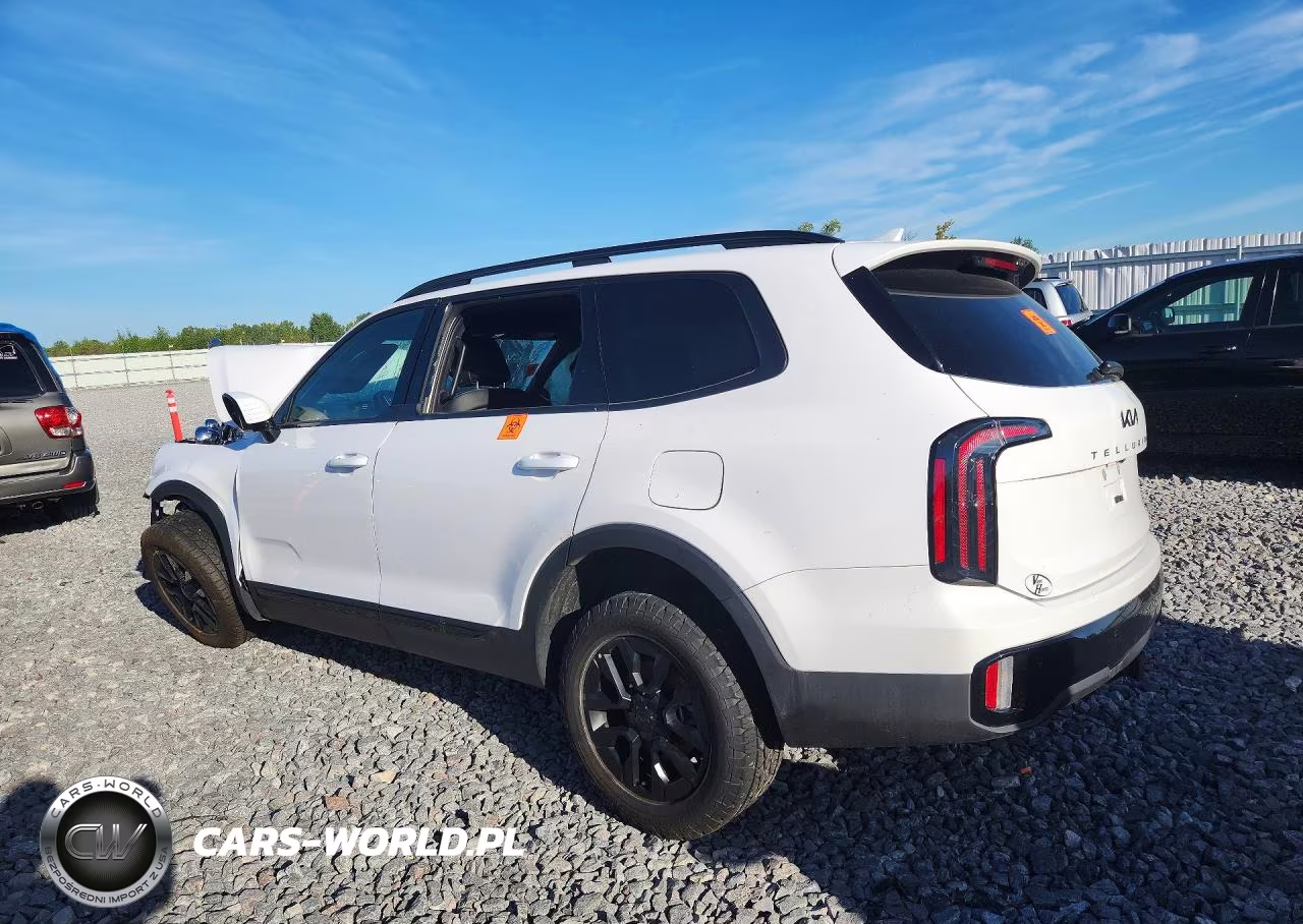 2025 Kia Telluride Sx-Prestige X-Pro VIN:5XYP5DGC7SG653445 - 2